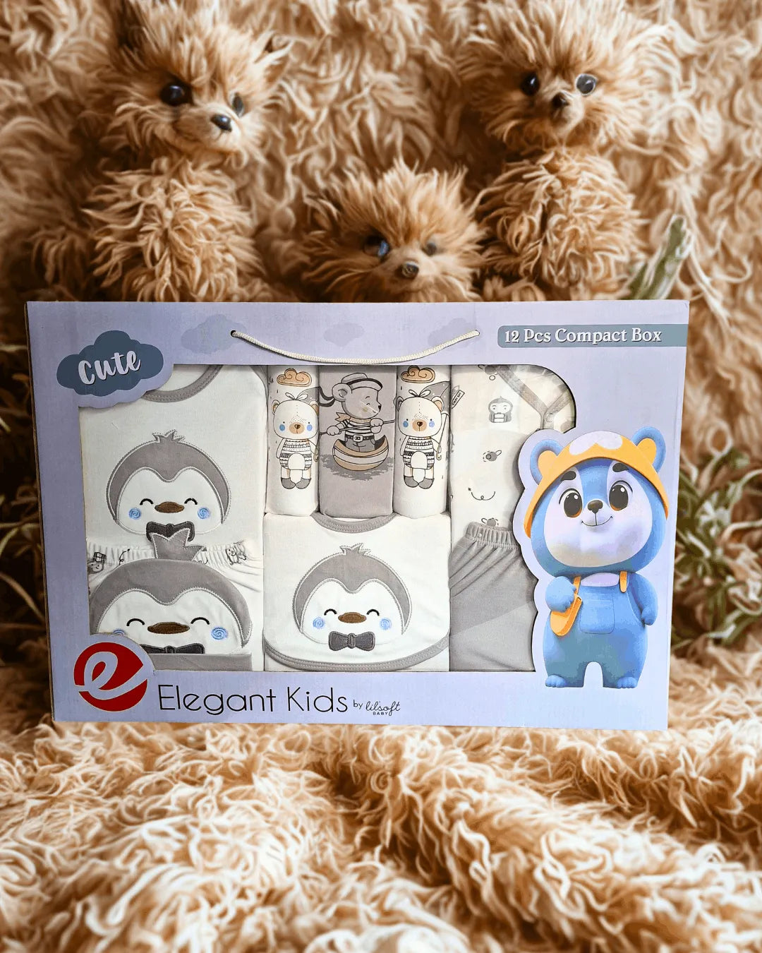 Compact Gift Box Imported 12-Piece (TTGS-04)
